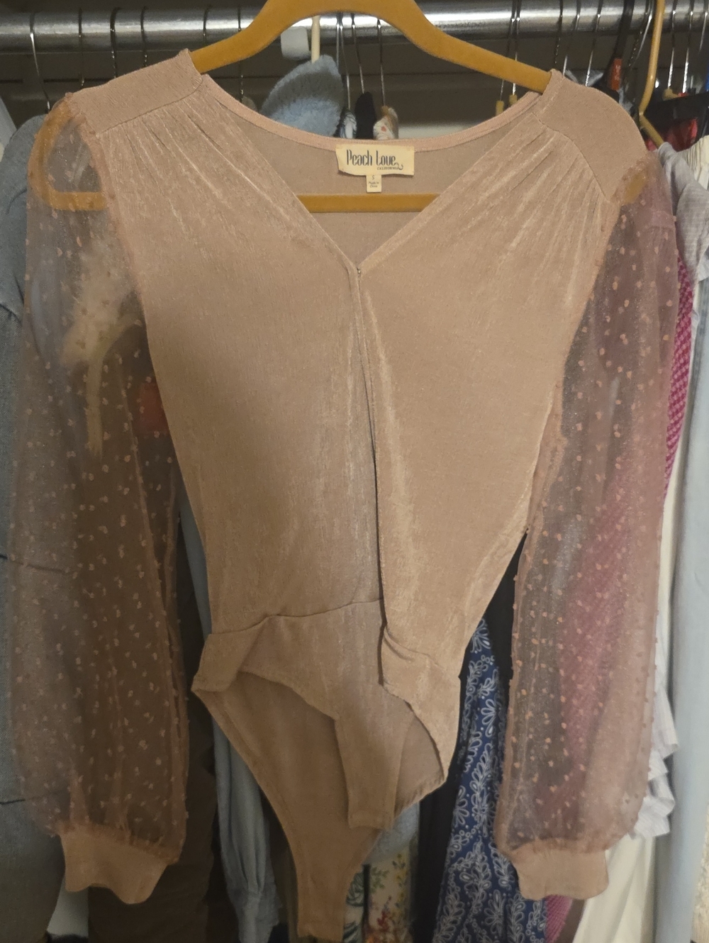 Peach Love California Blush Pink Sheer-Dot Sleeve Bodysuit